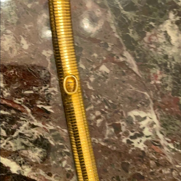 Snake belt
